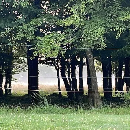 Apartament Farmhouse Montaigu-Vendee