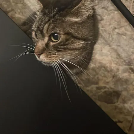 Farmhouse * Montaigu-Vendee