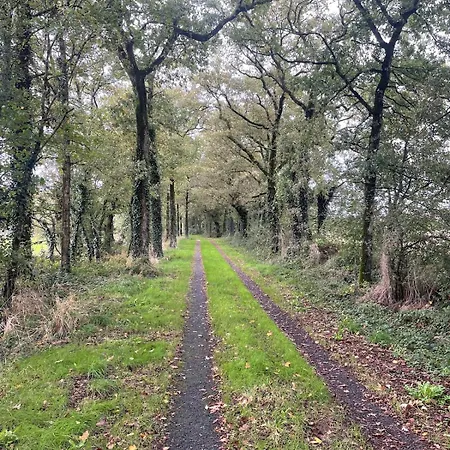 Apartament Farmhouse *