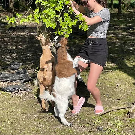 Farmhouse Apartament Montaigu-Vendee