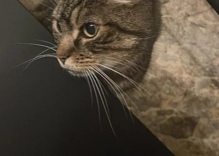 Farmhouse * Montaigu-Vendee