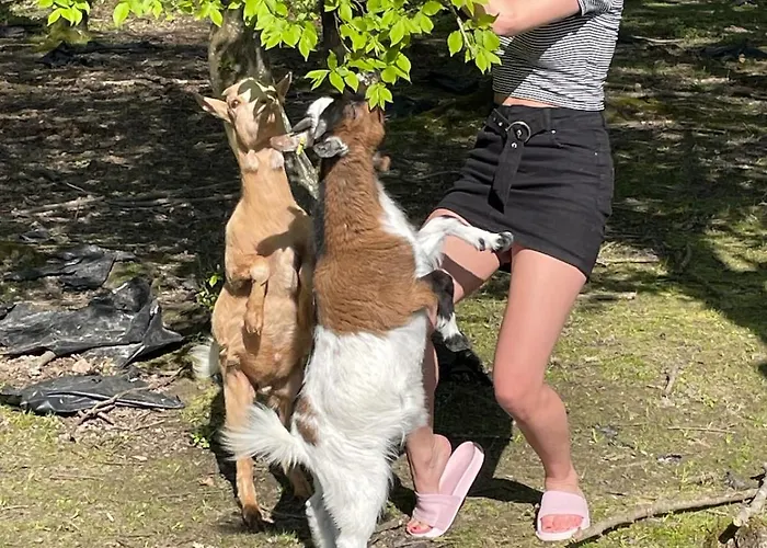 Farmhouse Appartement Montaigu-Vendee